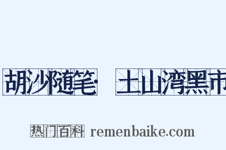 胡沙随笔·土山湾黑市是什么意思的图片